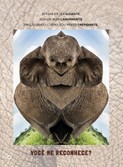 Que Esquisito! - Sabe Qual é o Bicho?